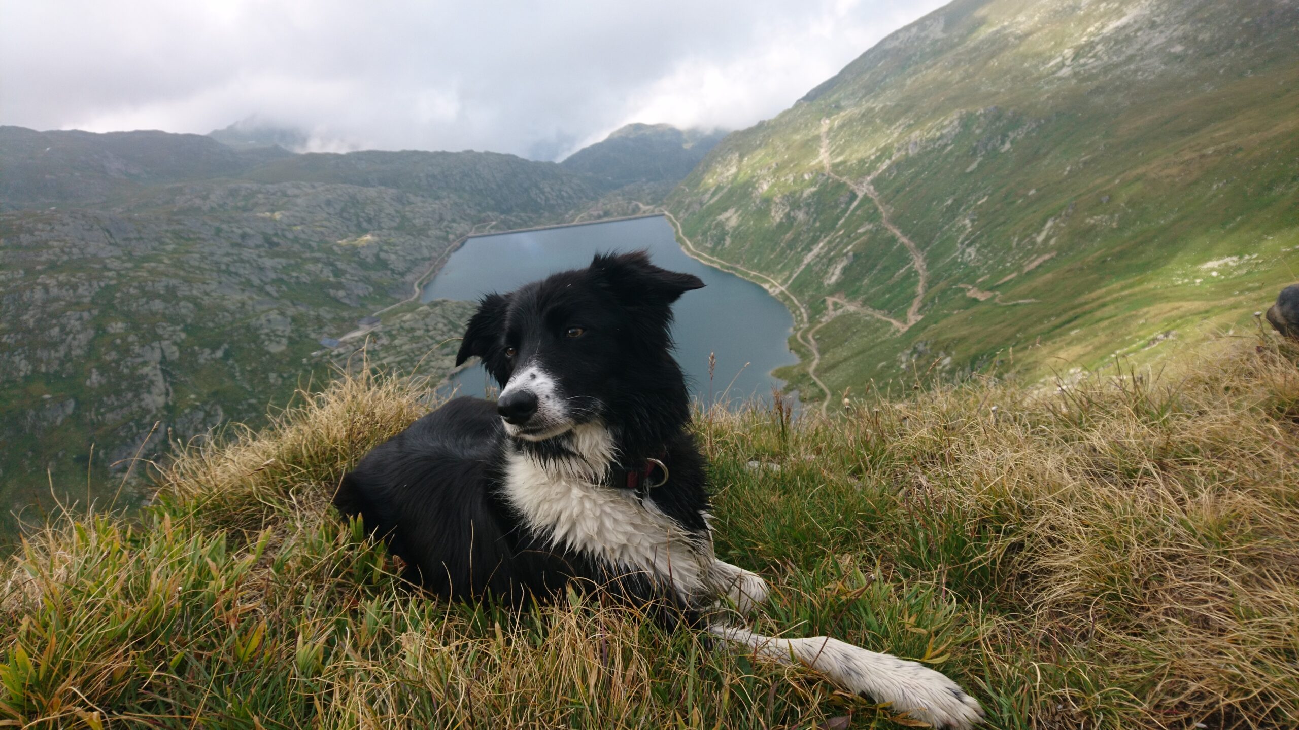 Bundle Spassport Stufe A